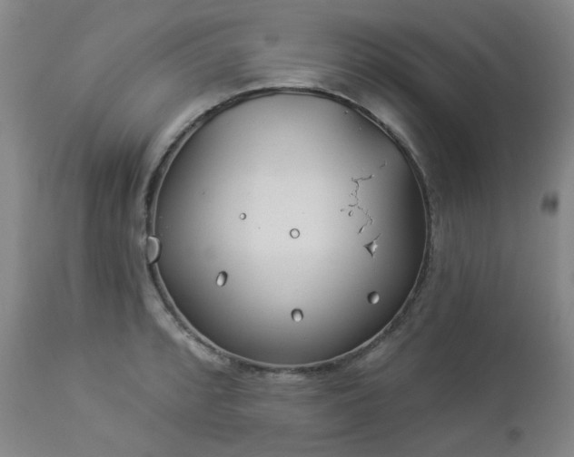 X0000112981088200909031103