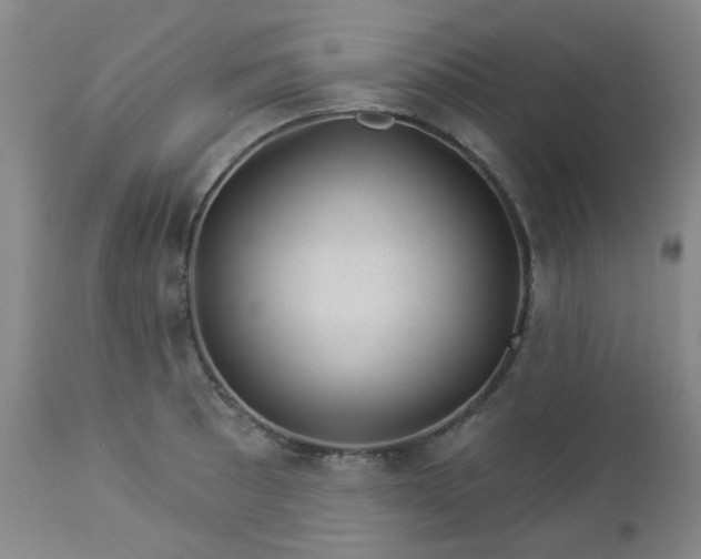 X0000112981089200909031103