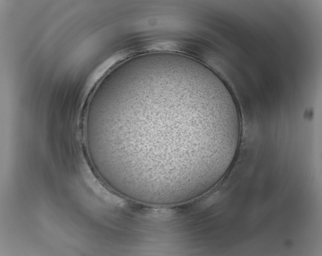 X0000112981090200909031103