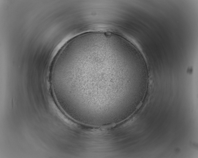 X0000112981091200909031103