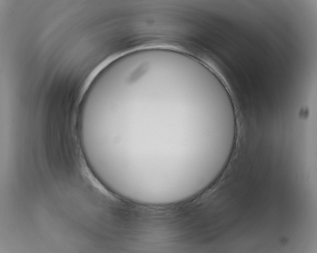 X0000112981092200909031103