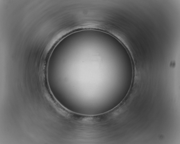 X0000112981093200909031103