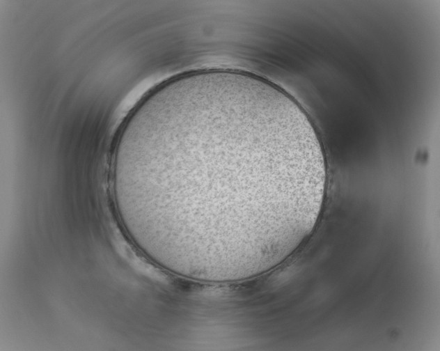 X0000112981094200909031103