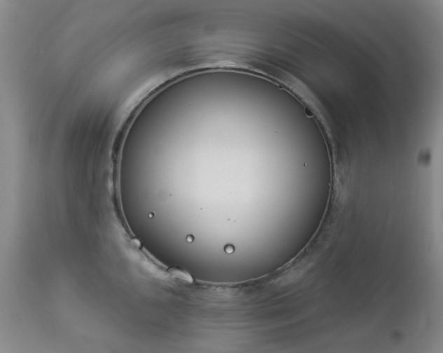 X0000112981096200909031103