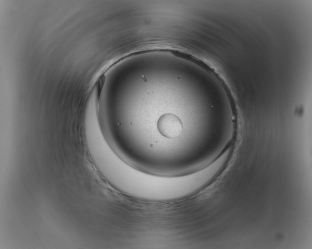 X0000112981097200909031103