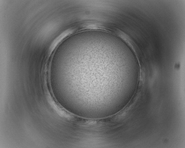 X0000112981098200909031103