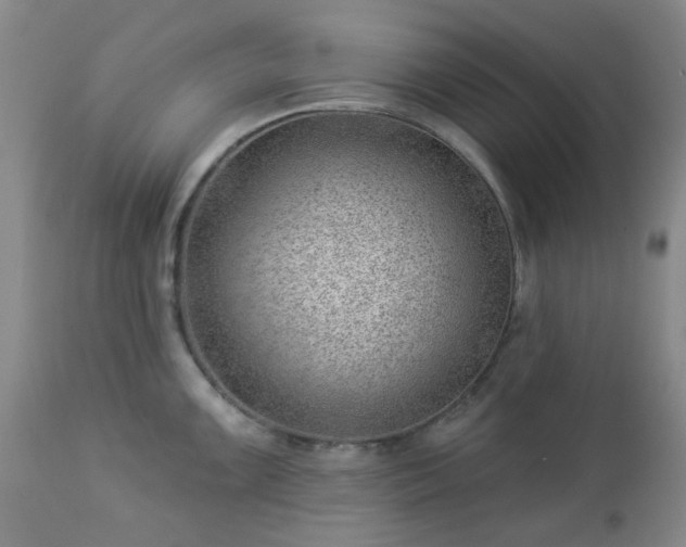 X0000112981099200909031103