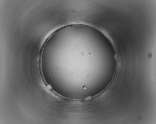 X0000112981100200909031103