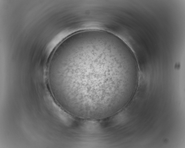 X0000112981101200909031103