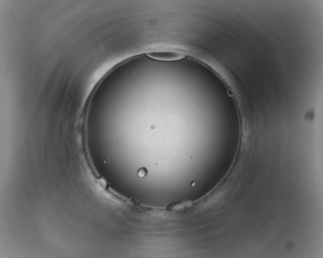 X0000112981102200909031103