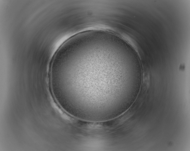 X0000112981103200909031103