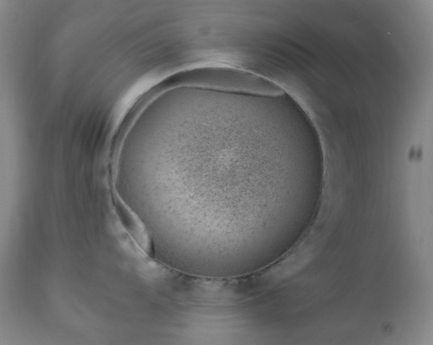 X0000112981104200909031103