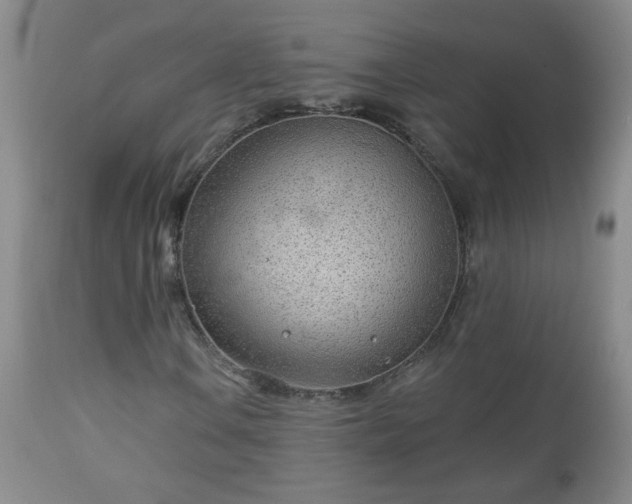 X0000112981106200909031102