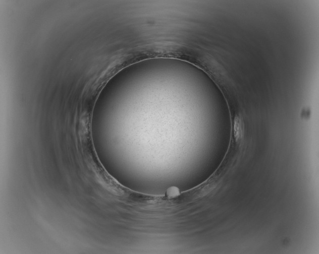 X0000112981107200909031102