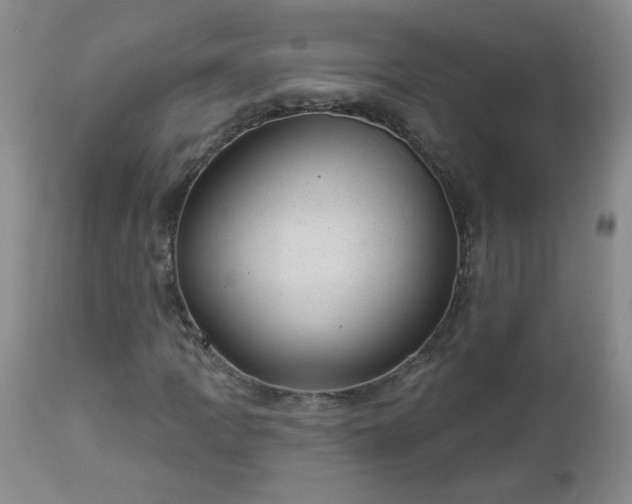 X0000112981109200909031102