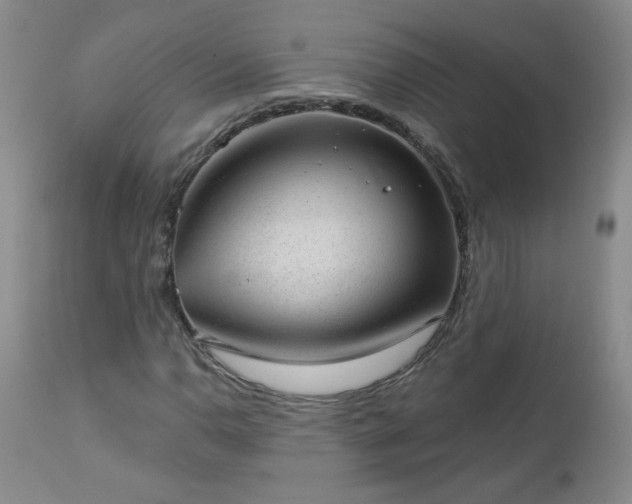 X0000112981110200909031102