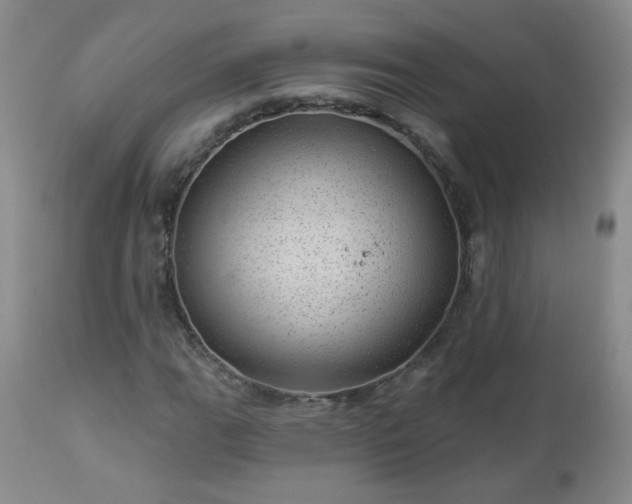 X0000112981111200909031102