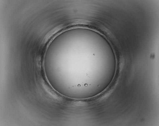 X0000112981113200909031102