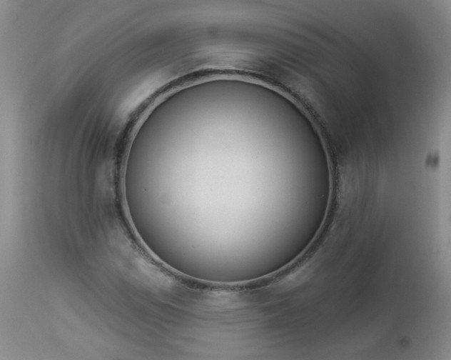 X0000112981114200909031102