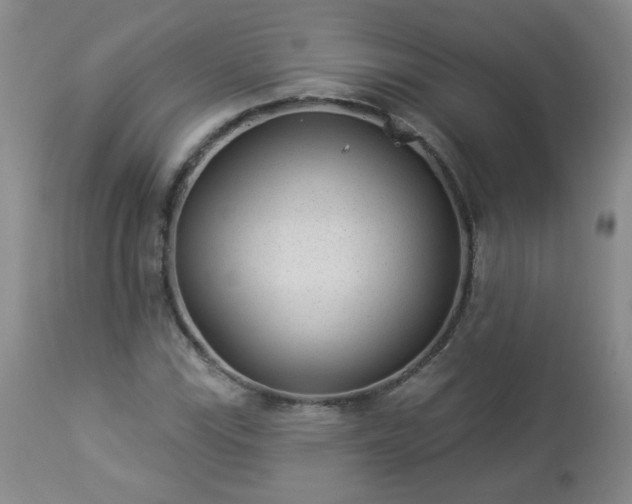 X0000112981115200909031102