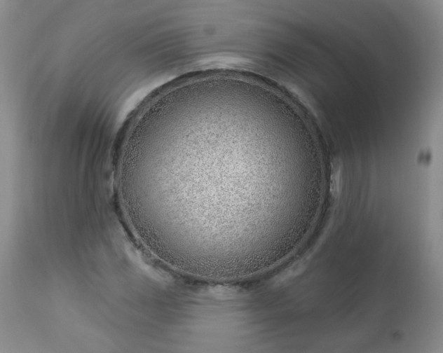 X0000112981117200909031102