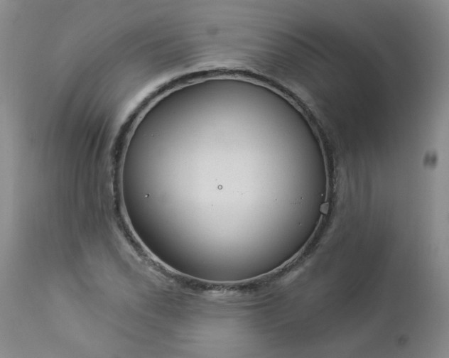 X0000112981118200909031102