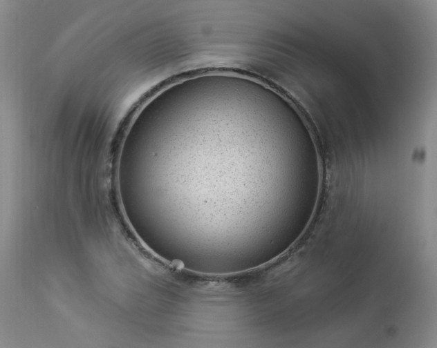 X0000112981119200909031102