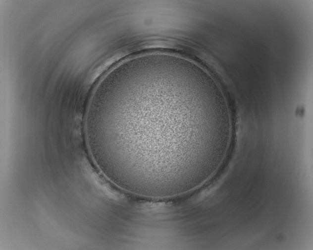 X0000112981121200909031103