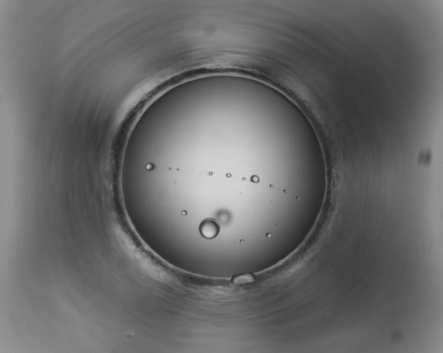 X0000112981122200909031103