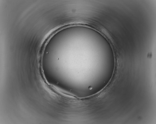 X0000112981124200909031103