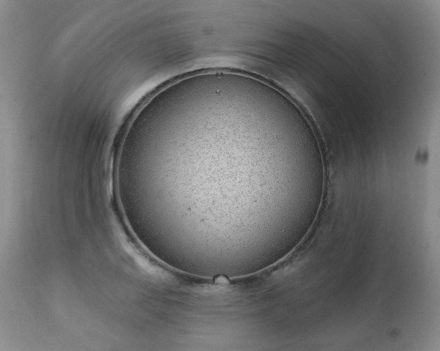 X0000112981127200909031103