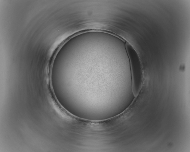 X0000112981128200909031103