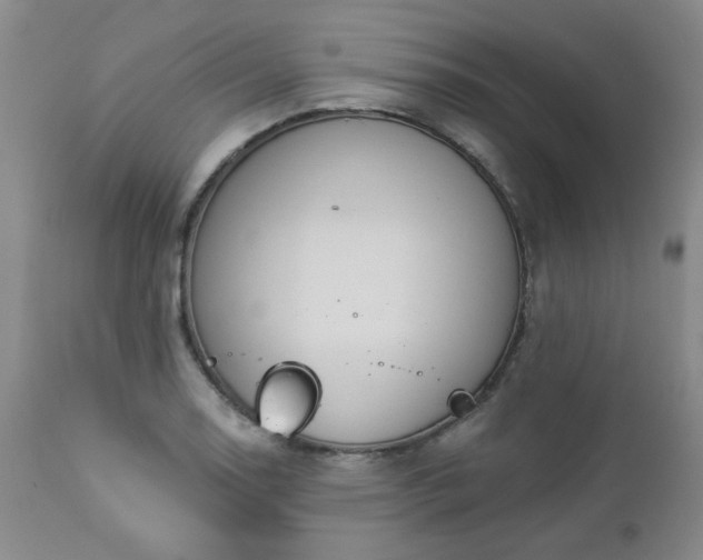 X0000112981130200909031103