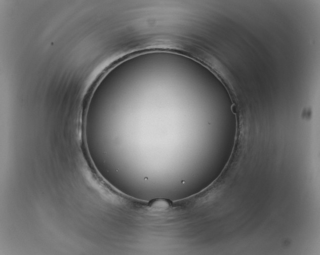 X0000112981132200909031103