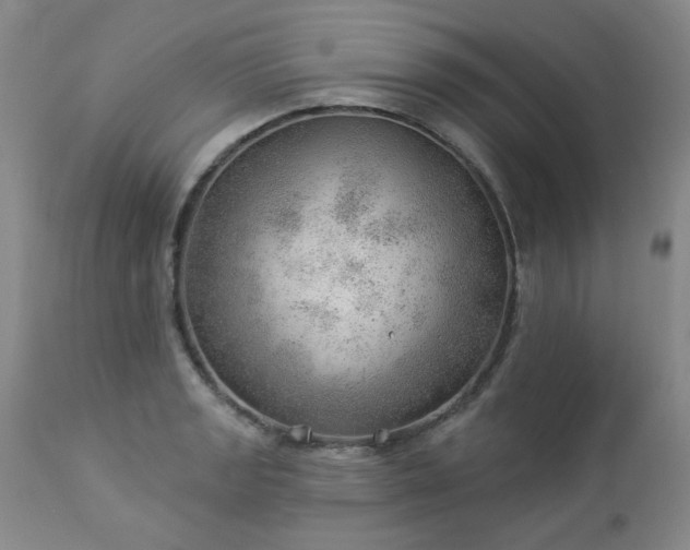 X0000112981133200909031103