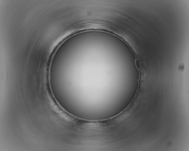 X0000112981134200909031103