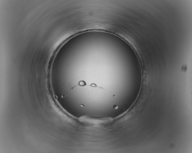 X0000112981135200909031103