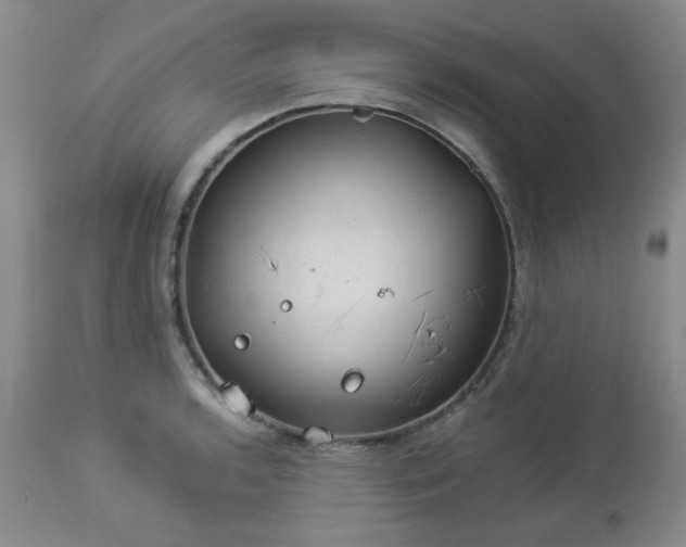 X0000112981136200909031103