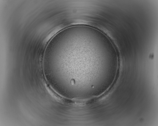 X0000112981137200909031103