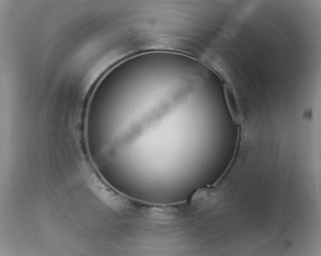 X0000112981138200909031103