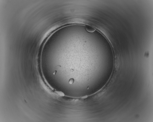 X0000112981139200909031103