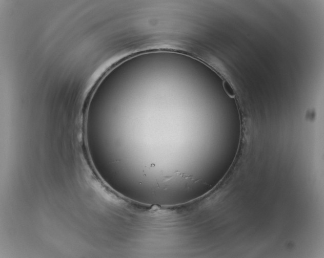 X0000112981140200909031103