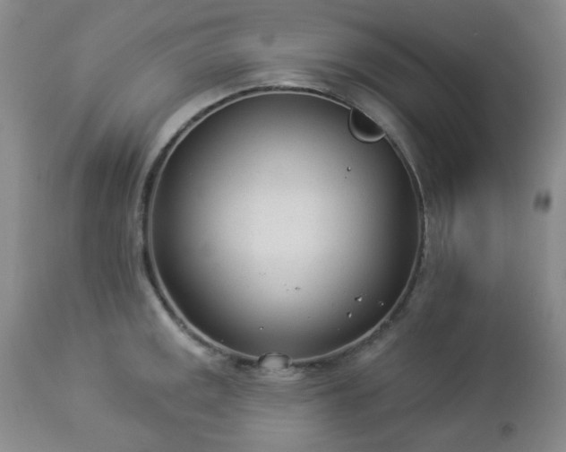 X0000112981141200909031103