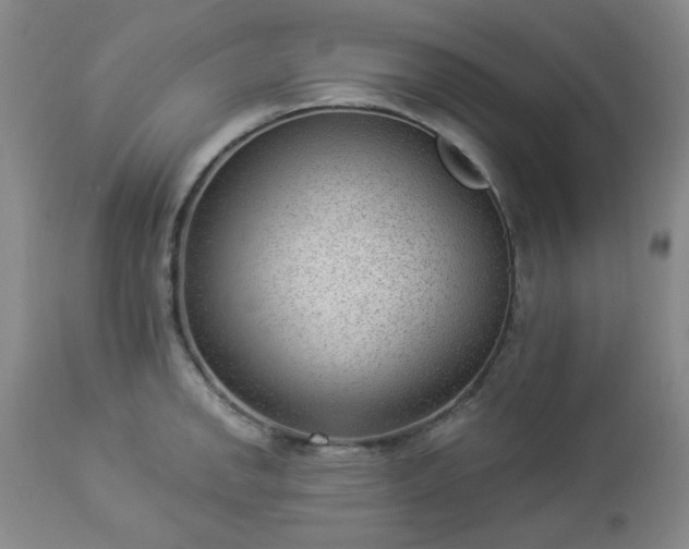 X0000112981142200909031103