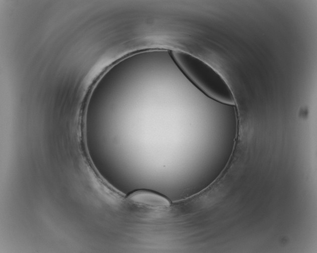 X0000112981144200909031103