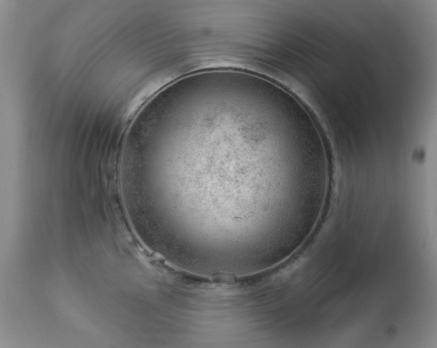 X0000112981145200909031103