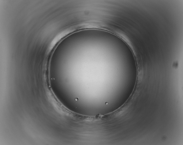 X0000112981146200909031103