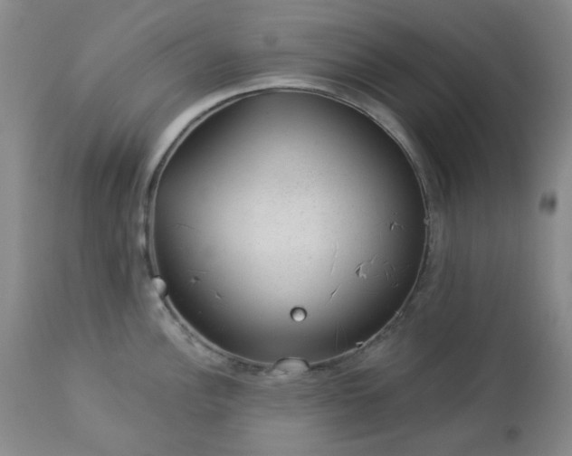 X0000112981148200909031103