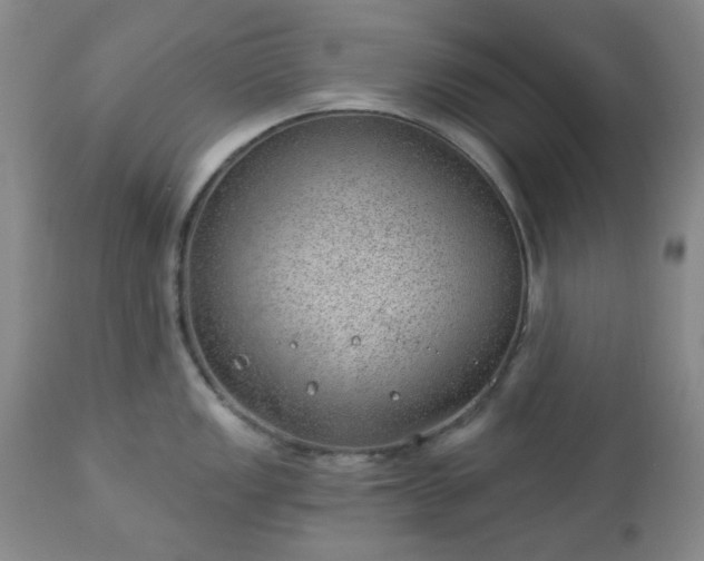 X0000112981149200909031103