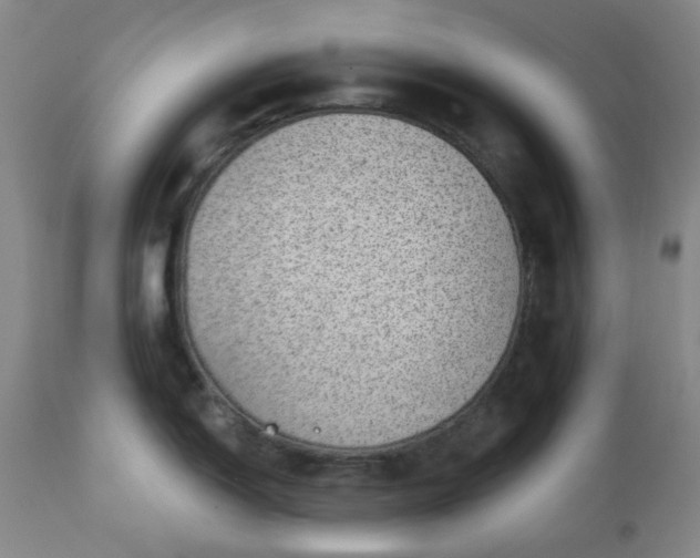 X0000112981150200909031103